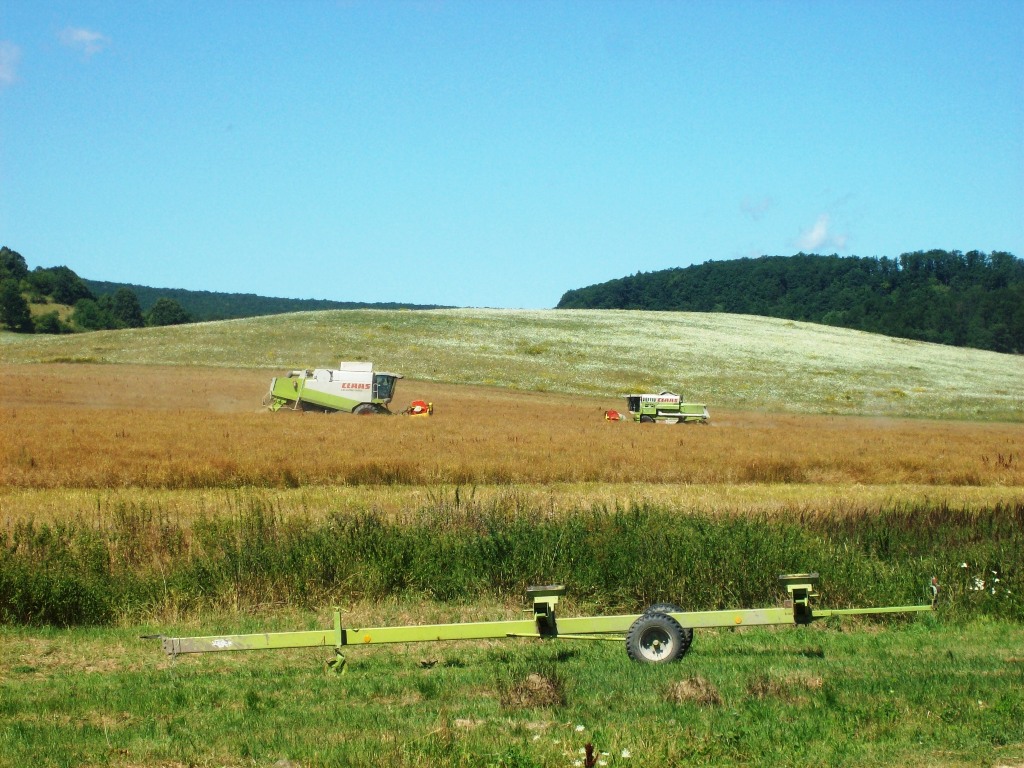 Pic 004.jpg