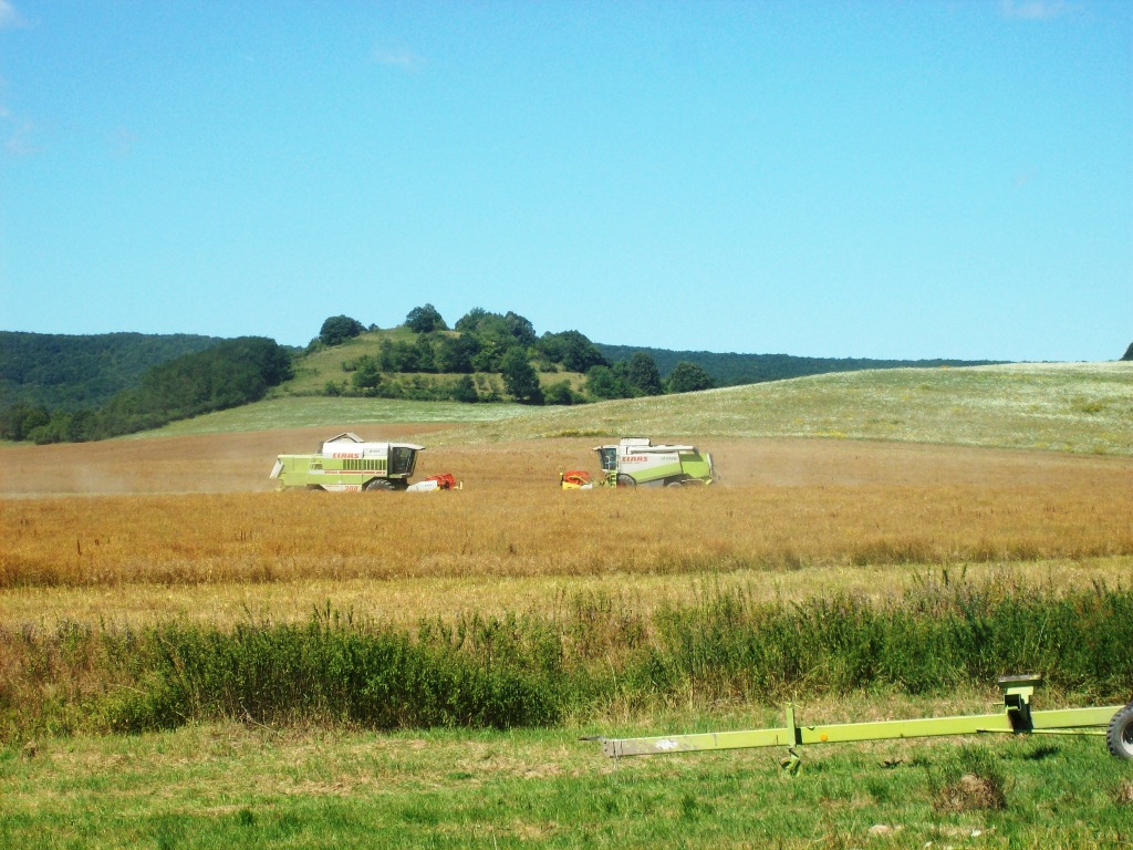Pic 009.jpg