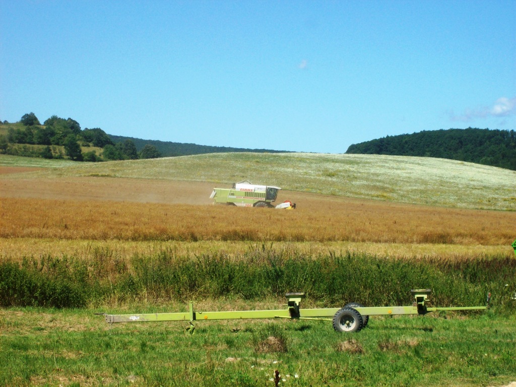 Pic 011.jpg
