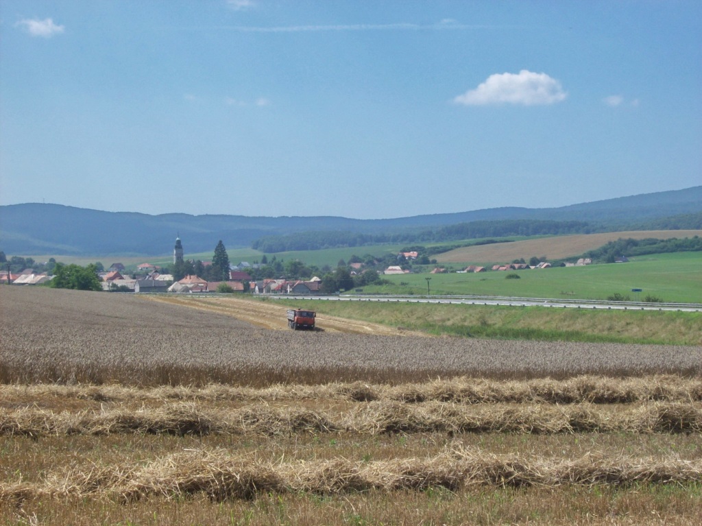 Pic 009.jpg