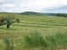 Picture 011.jpg
