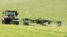 100_0225.JPG